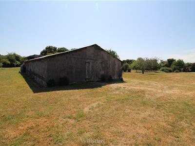 Picture 19
